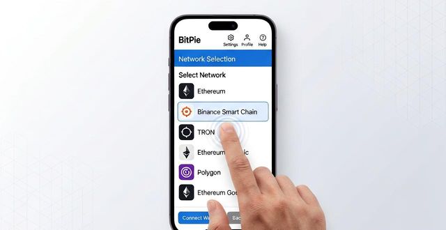 比特派钱包trx_2021比特派钱包使用视频_如何在比特派最新钱包app下载中切换网络